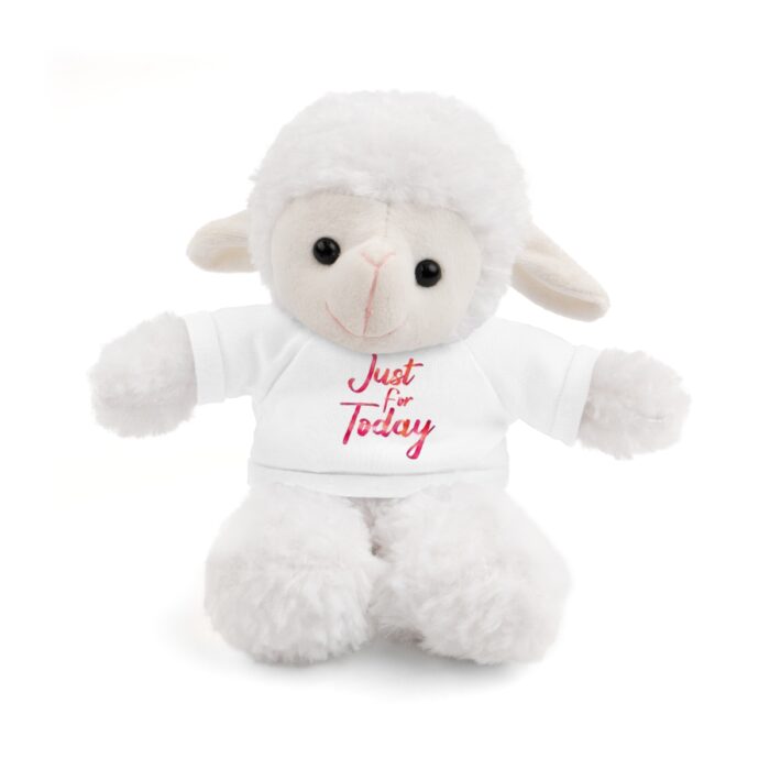 Stuffed Animal With Tee Just For Today - Image 16