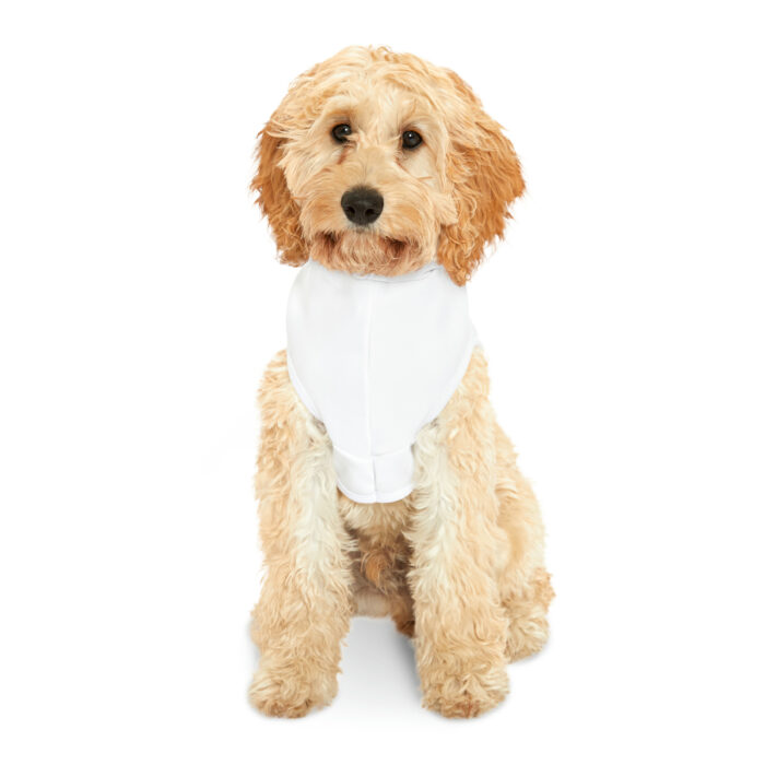 Pet Hoodie Brave - Image 4