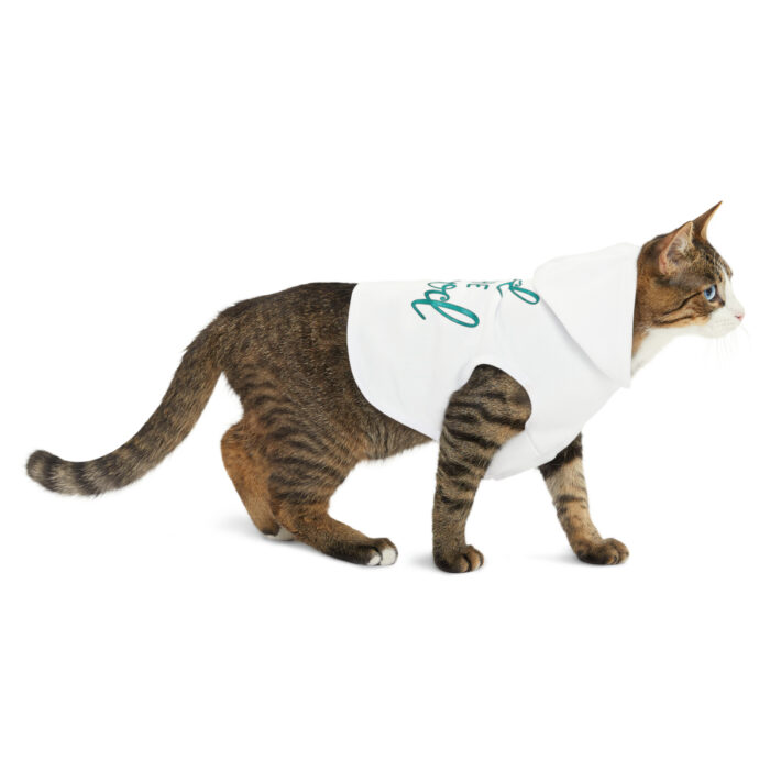 Pet Hoodie Find The Good - Image 6